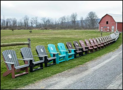 A long line of Adirondack chairs in every color, from the barn down to the road
